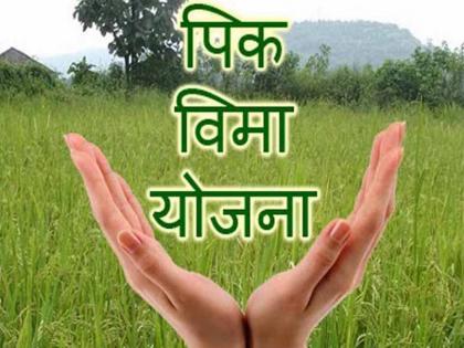 on line crop insurance scheme failed | आॅनलाइन पीक विम्याचा पहिलाच प्रयोग ‘फेल’!